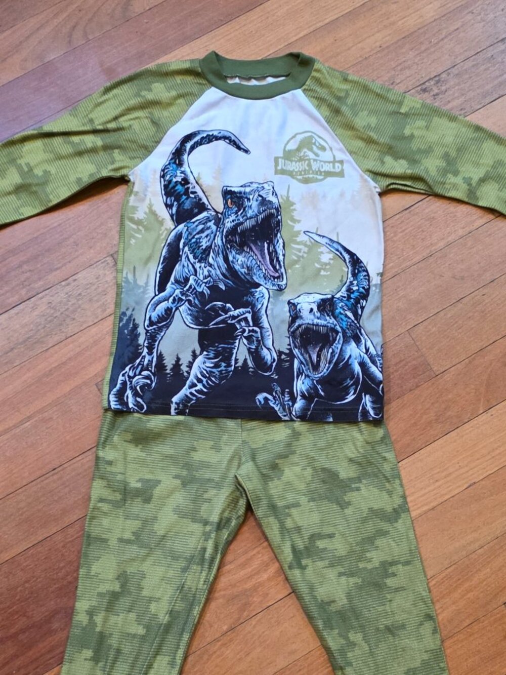 Jurassic World Dinosaur Pajama Set Size M (8/10)